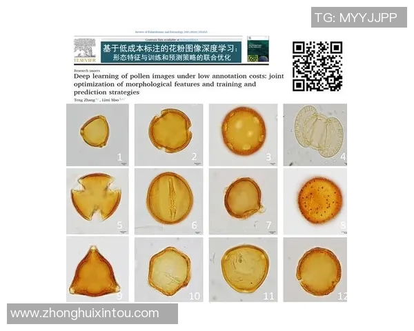 北京羽毛球队包夹战术深度解析与训练策略探讨 北京羽毛球队包夹战术深度解析与训练策略探讨