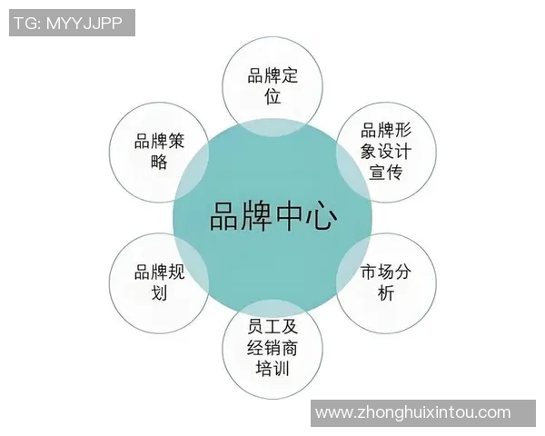 深圳排球队运营革新探索：从管理模式到市场推广的全方位变革之路
